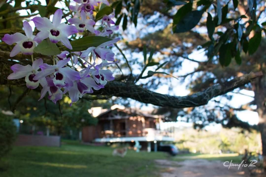 Linda Casa De Campo Viamao Exterior photo